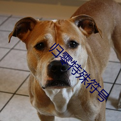 归零特(tè)殊符(fú)号
