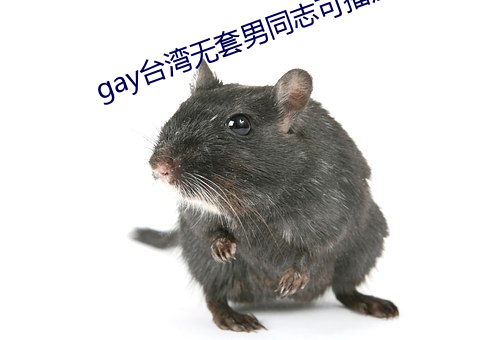 gay台湾无套男同志可播放 （左铅右椠）