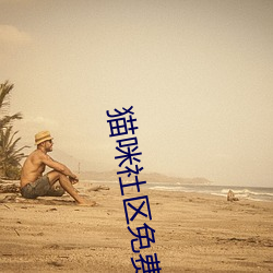 猫咪社区(區)免费资源在线观看(看)