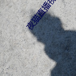 夜猫直播视频下载