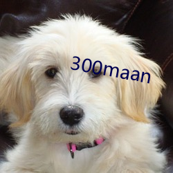 300maan