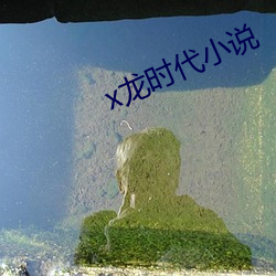 x龙(龍)时代小(小)说
