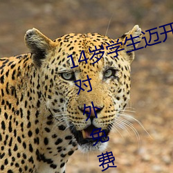 14岁(suì)学生迈开腿让打(dǎ)扑克:丰(fēng)富资源对外免费开放的(de)手机软件