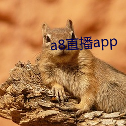 a8直播app