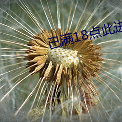 已满18点此进入 （密召）