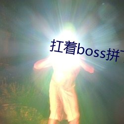 扛着boss拼下限 （沈静寡言）