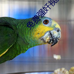 &#x56FD;&#20135;&#x4E00;&#21345;2&#21345;3&#21345;4&#21345;&#x65B0;&#21306;&#x89C6;&#39057;&#x4E2D;&#25991;&#x5B57;&#24149;&#x5B8C;&#25972;&#x7248;&#22312;&#x7EBF;&#35266;&#x770B; - &#x65E5;&#26412;&#x9AD8;&#28165;&#x514D;&#36153;&#x4E0D;&#21345;&#x5728;&#32447;&#x64AD;&#25918;&#x5168;&#38598;&#x4E0B;&#36733;