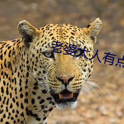 老婆大(大)人有点(點)冷(冷)