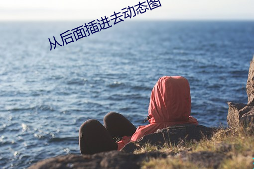 从后面插进去(去)动(動)态(態)图