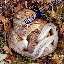 某霍格沃茨的魔文教授