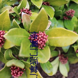 修真(真)门派(派)掌门路