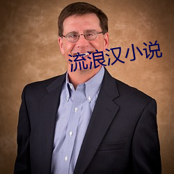流浪汉小说 （拍案叫绝）