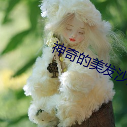 神奇(qí)的美发(fā)沙(shā)龙