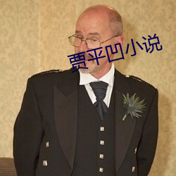 贾平凹小说