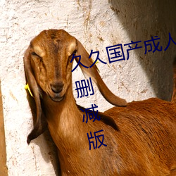 久久(jiǔ)国(guó)产成人精(jīng)品国产成人亚(yà)洲未删减版