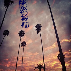 言(yán)教(jiào)授要撞坏了(小小奥(ào)妮