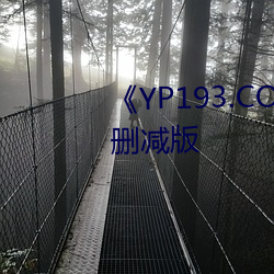 《YP193.COC永(永)不失联(聯)免费》未(未)删减版(版)
