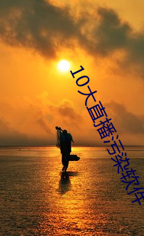 10大直(zhí)播污染软件
