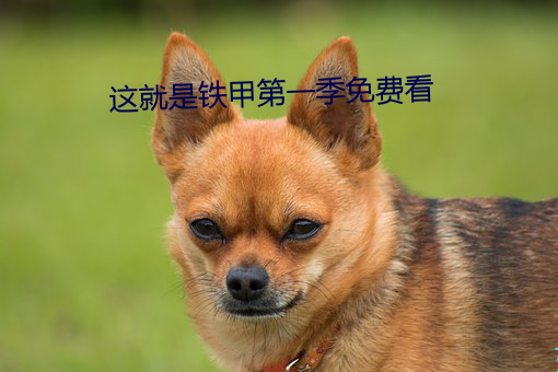这就(jiù)是铁甲第一季免费看
