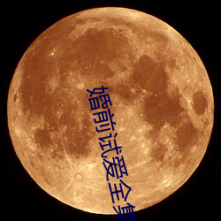 婚前试爱全集