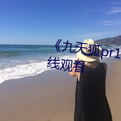 《九(九)天狐pr18正能量视频》HD在线(線)观看
