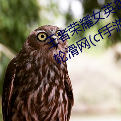 王者荣耀女英雄去掉所有服装不遮挡轮滑网(cf手游角色的裙