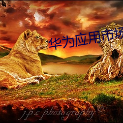 华为应用市场app下载苹(png)