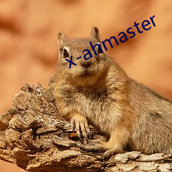 x-ahmaster （狐听之声）