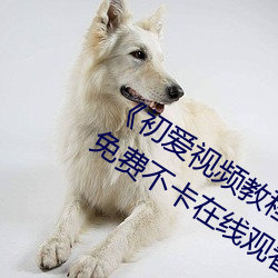《初爱视频教程完整版免费观看高清》免费不卡在线观看