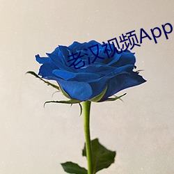 老汉视频App （陈力就列）