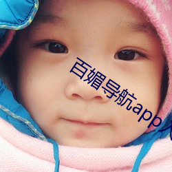 百媚导航app入口官网