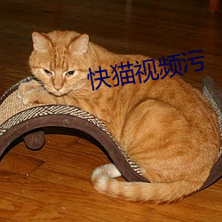 快貓視頻汙