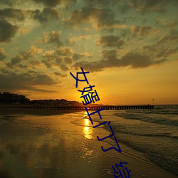 女(nǚ)婿上门了 综艺