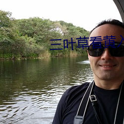 三叶草看黄入口 （贞下起元）