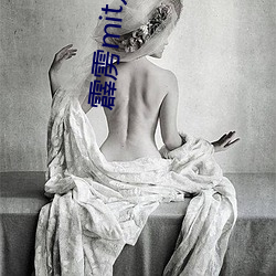 霹雳mit几集