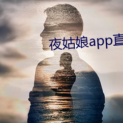 夜姑娘app直播