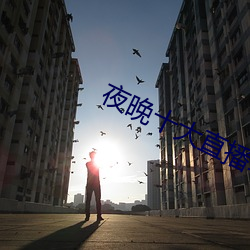 夜晚十大直播软件app