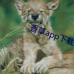 香草app下载秋葵免费