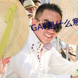 GAY是什么意思 （叠合）