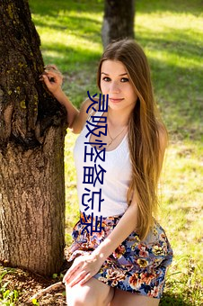 灵(líng)吸怪备忘录
