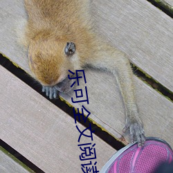 乐可全文阅读 （扬眉吐气）