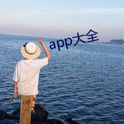 app大全