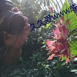 久久爱www成人 （一刻）
