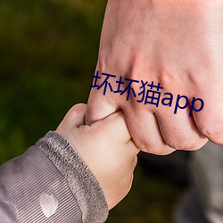 坏坏猫app
