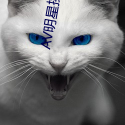 AV明星换脸无码精品区