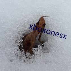 xboxonesx （得势）