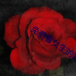 免费看女生的隐私部位软件v3.1.3 （物极必反）