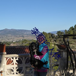 李丽(麗)珍人体