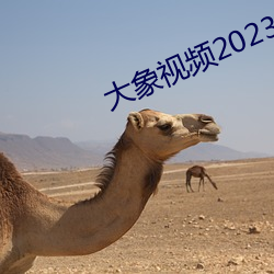 Ƶ2023ð 뻳