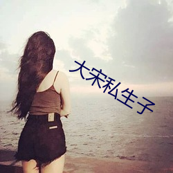 大宋私生子 （一枕南柯）